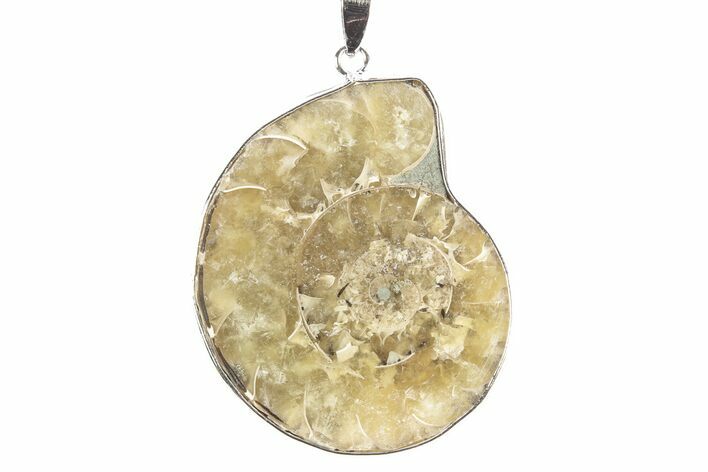 Fossil Ammonite Pendant - Million Years Old #252563